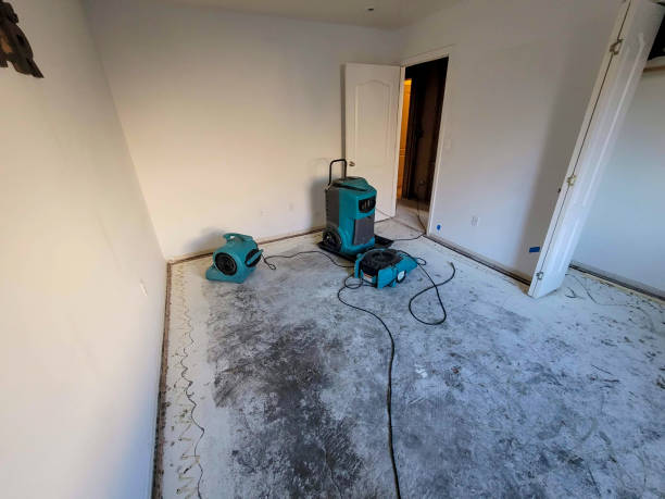 Reliable Reamstown, PA Water damage restoration Solutions