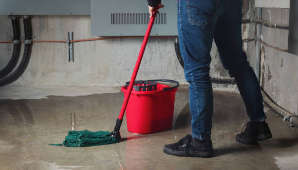 Best Professional water damage repair  in Reamstown, PA