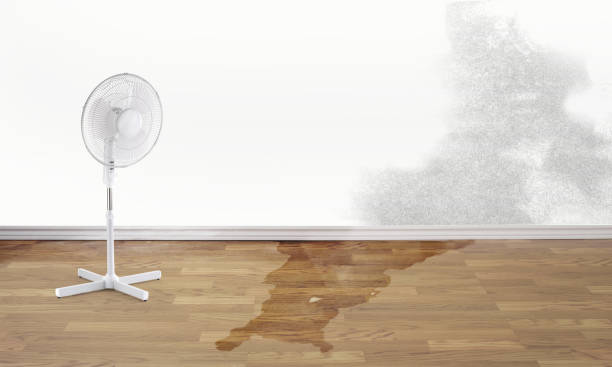 Best Flood damage cleanup  in Reamstown, PA