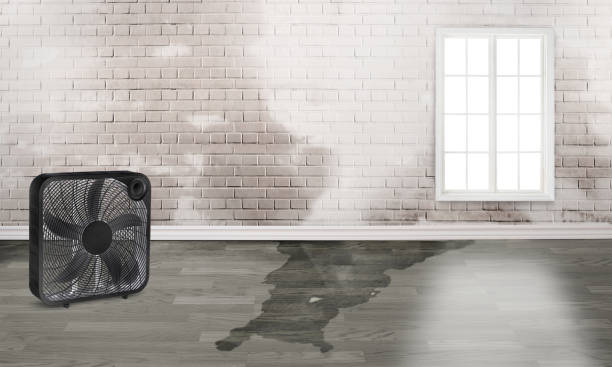 Best 24/7 water damage repair  in Reamstown, PA