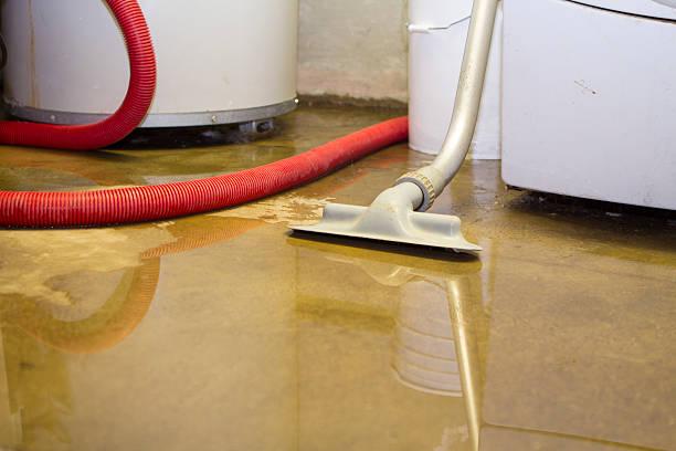 Best Local water damage restoration  in Reamstown, PA