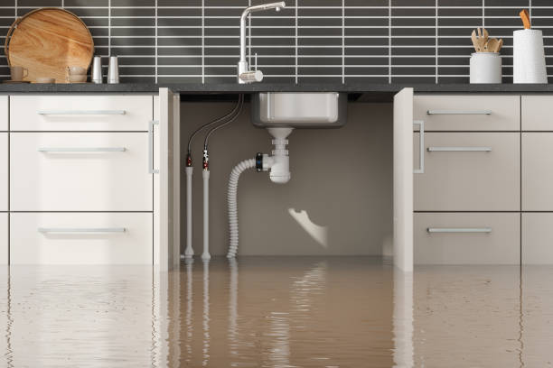 Best 24/7 water damage repair  in Reamstown, PA