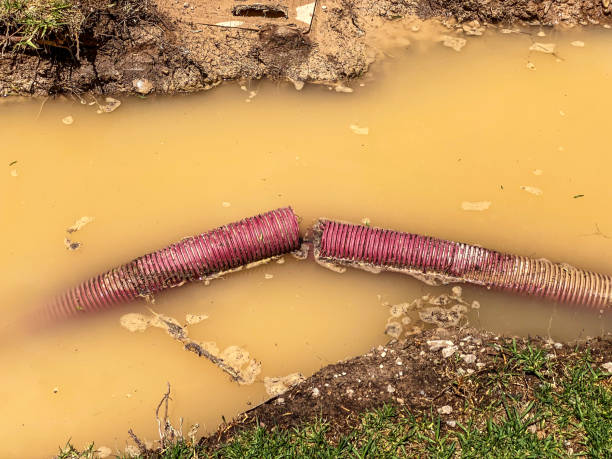 Best Carpet water damage restoration  in Reamstown, PA