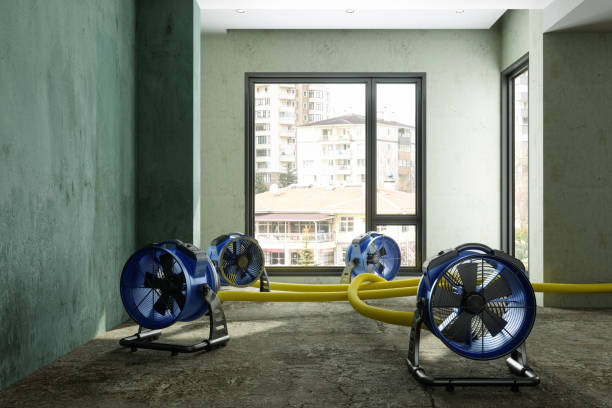 Best Flood restoration services  in Reamstown, PA